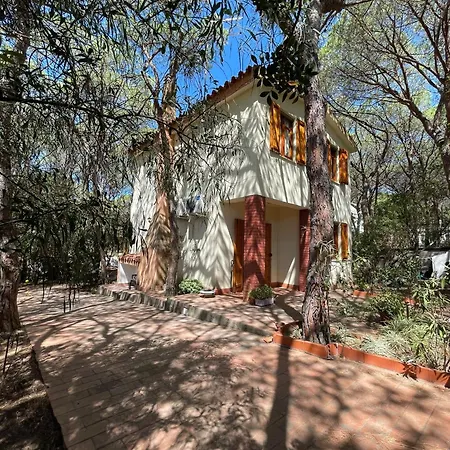 Marina * Fort Village